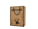 Designed Paper Gift Bags - Surprise! - MIDI