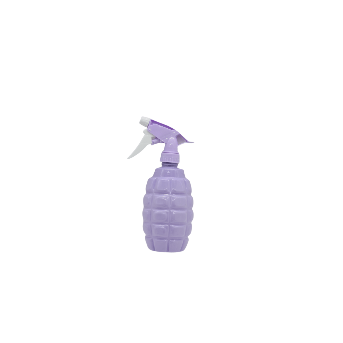 Plastic Spray Bottle in Various Colors 2
