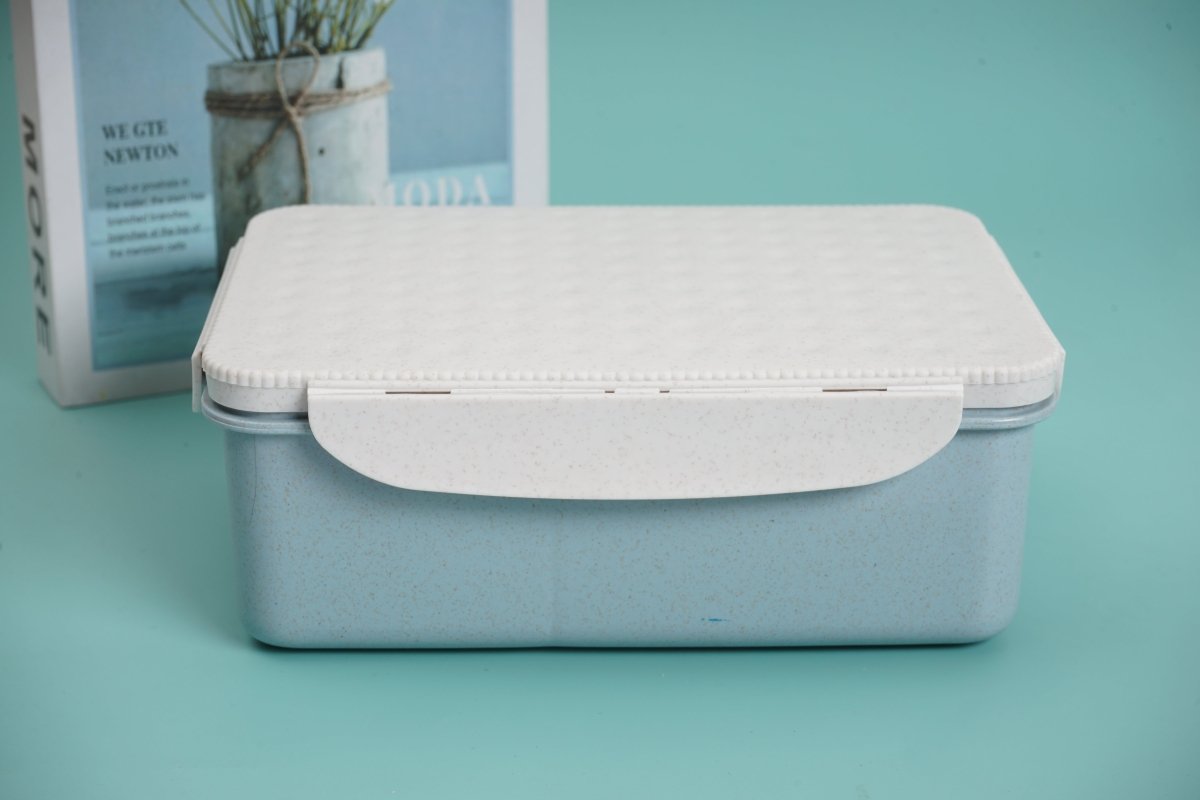 1300ml Biscuit Shape Lunch Box with Tableware - MIDI