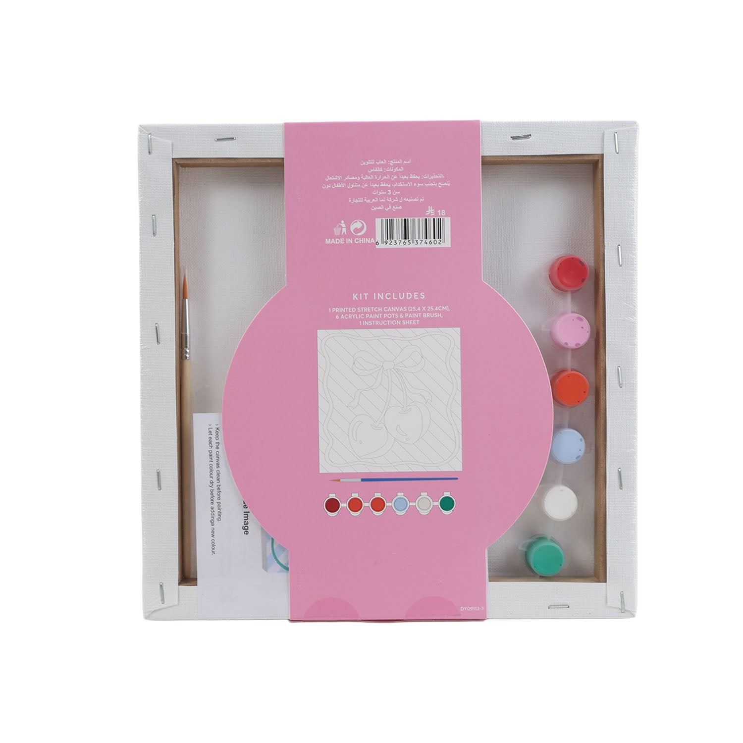 Canvas art kit open box showing paint colors, brush, and printed canvas