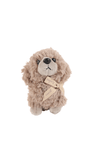 4 Teddy puppy scented - MIDI