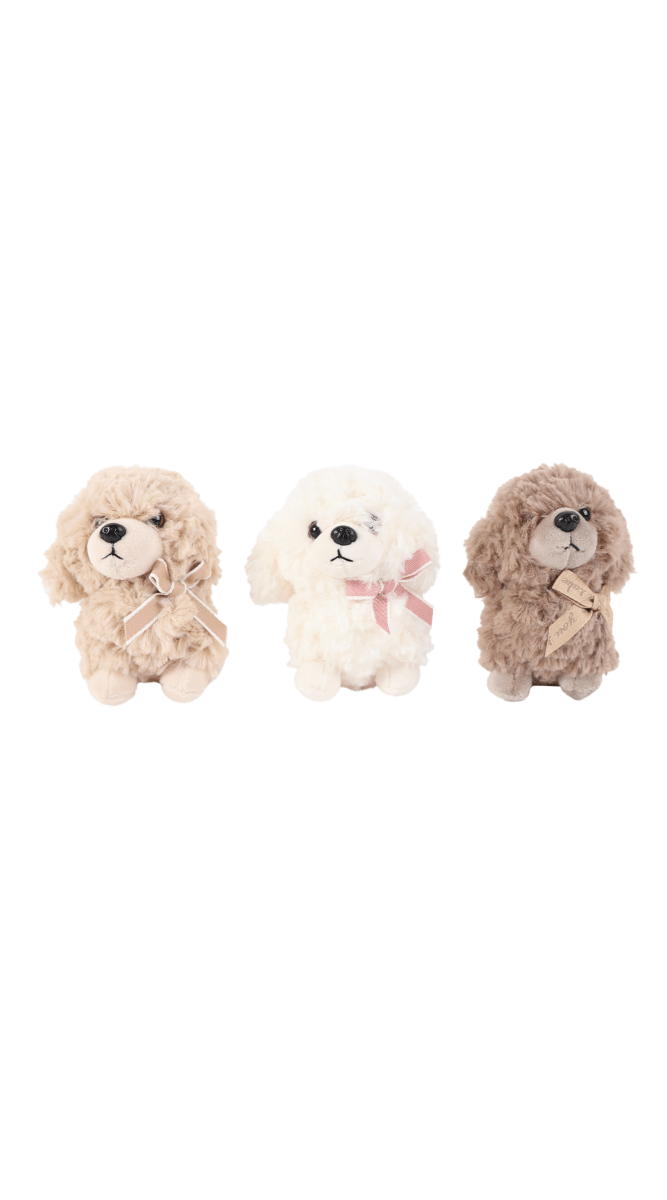 Scented teddy puppy plush, three assorted colors: beige, white, brown