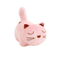 Light pink plush cat with embroidered eyes and brown nose, face-forward.