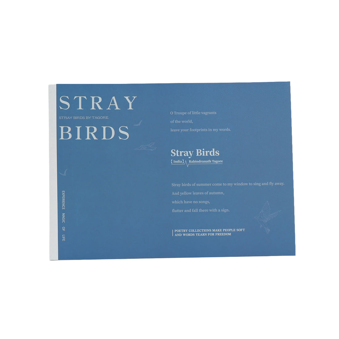 Painting notes book, blue cover with “STRAY BIRDS” title and patterned layout