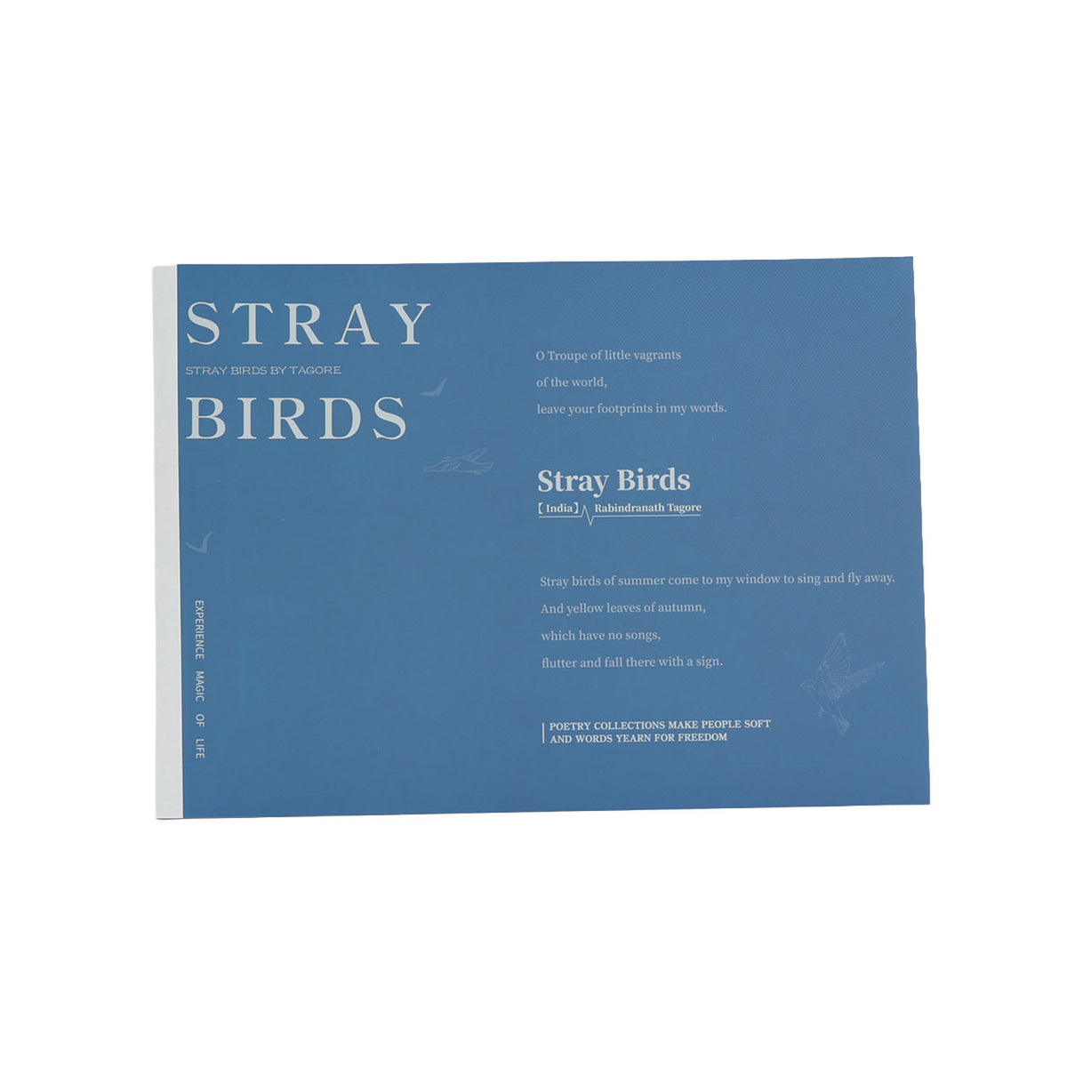 Painting notes book, blue cover with “STRAY BIRDS” title and patterned layout