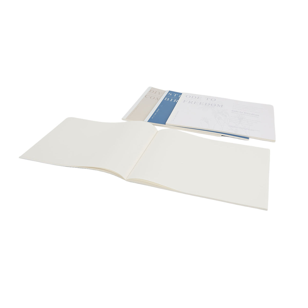 Painting notes book opened, white pages with blue divider and note sheet