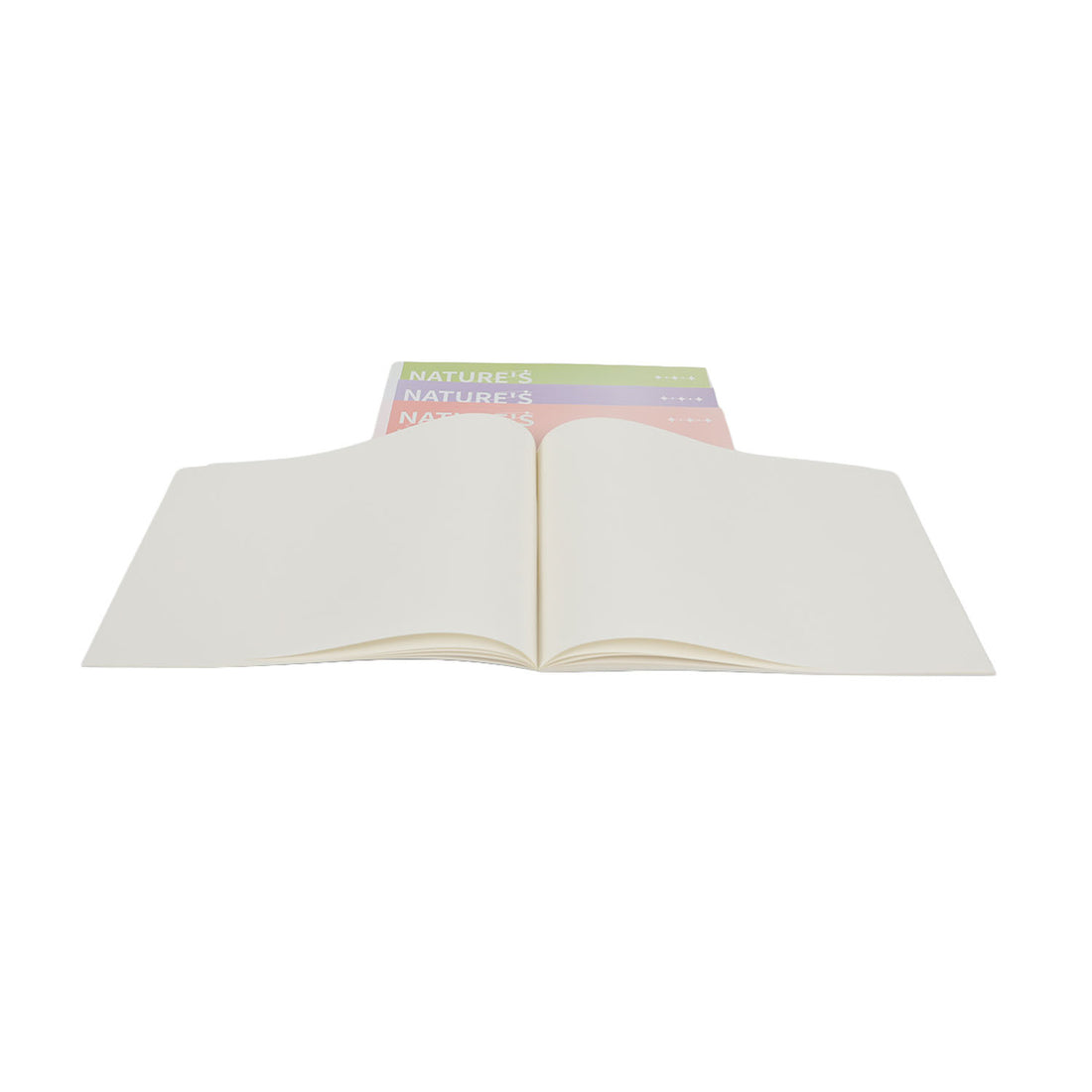 Open pastel painting book with blank white pages and Nature's Palette cover visible