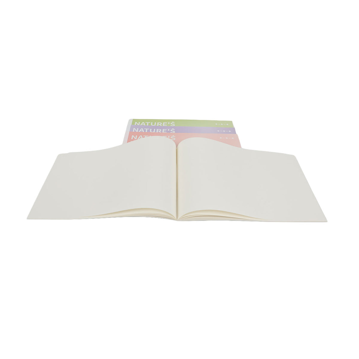 Open pastel painting book with blank white pages and Nature's Palette cover visible