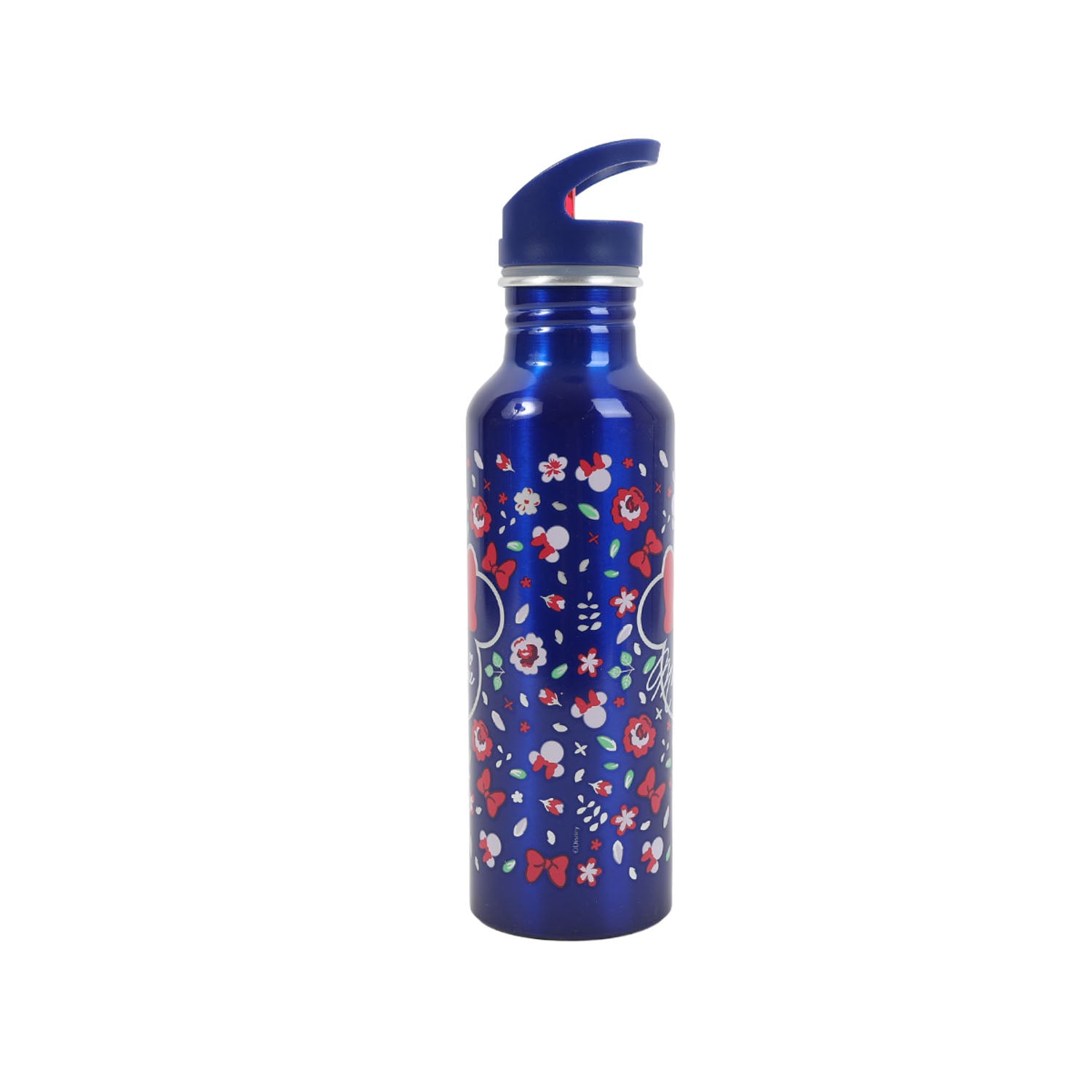 2-  Minnie Mouse Gardening Vegas Sipper Bottle - 800ml
