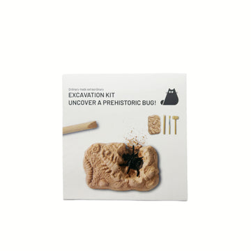Brown insect fossil excavation kit box with prehistoric bug figure and tools