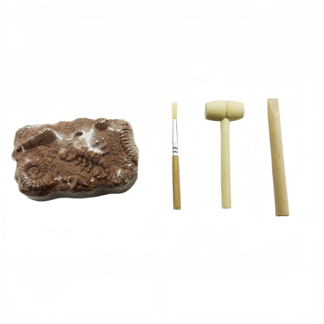 Brown insect fossil block excavation kit with brush and digging tools