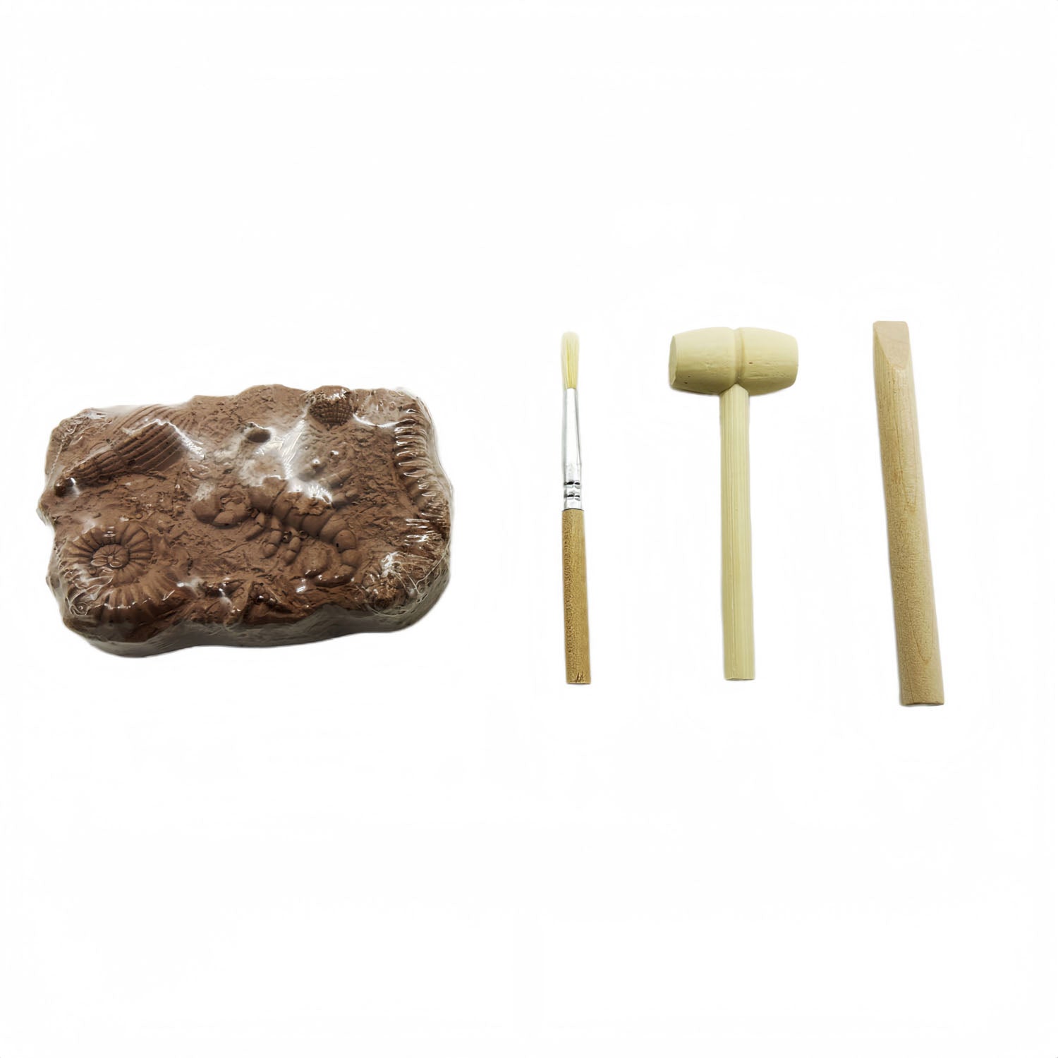 Brown insect fossil block excavation kit with brush and digging tools