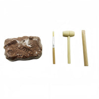 Brown insect fossil block excavation kit with brush and digging tools