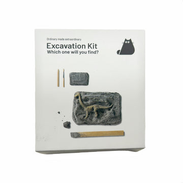 Dinosaur excavation kit with gray fossil blocks and wooden tools inside a box