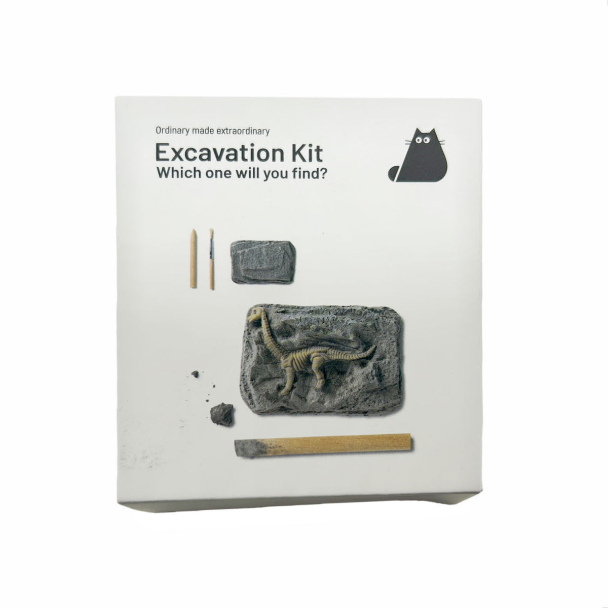 Gray Dinosaur Fossil Excavation Kit