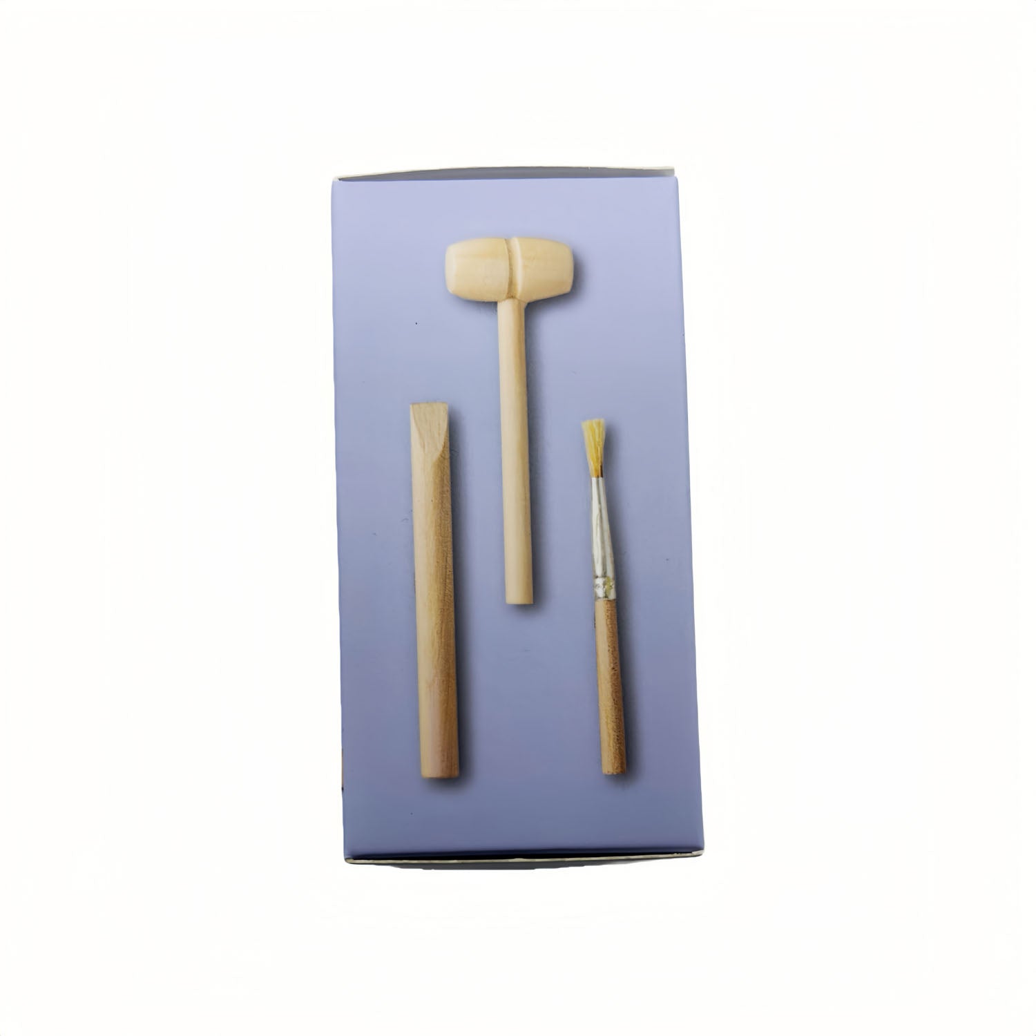 Excavation kit tools in box: wooden mallet, chisel, and brush