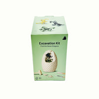 Excavation kit box with dinosaur graphic and fossil egg illustration