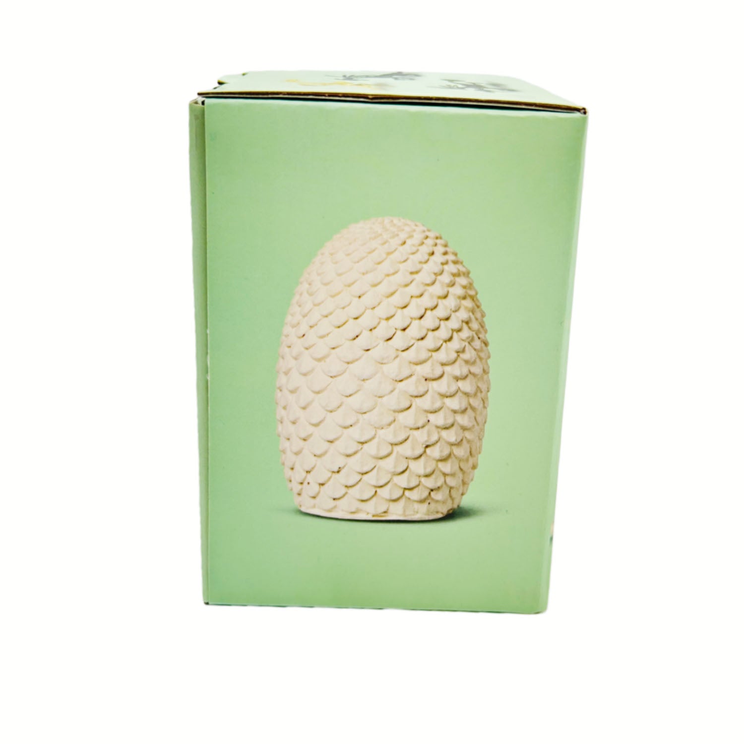 Excavation kit box featuring a textured fossil egg centered on green panel