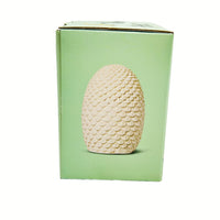 Excavation kit box featuring a textured fossil egg centered on green panel