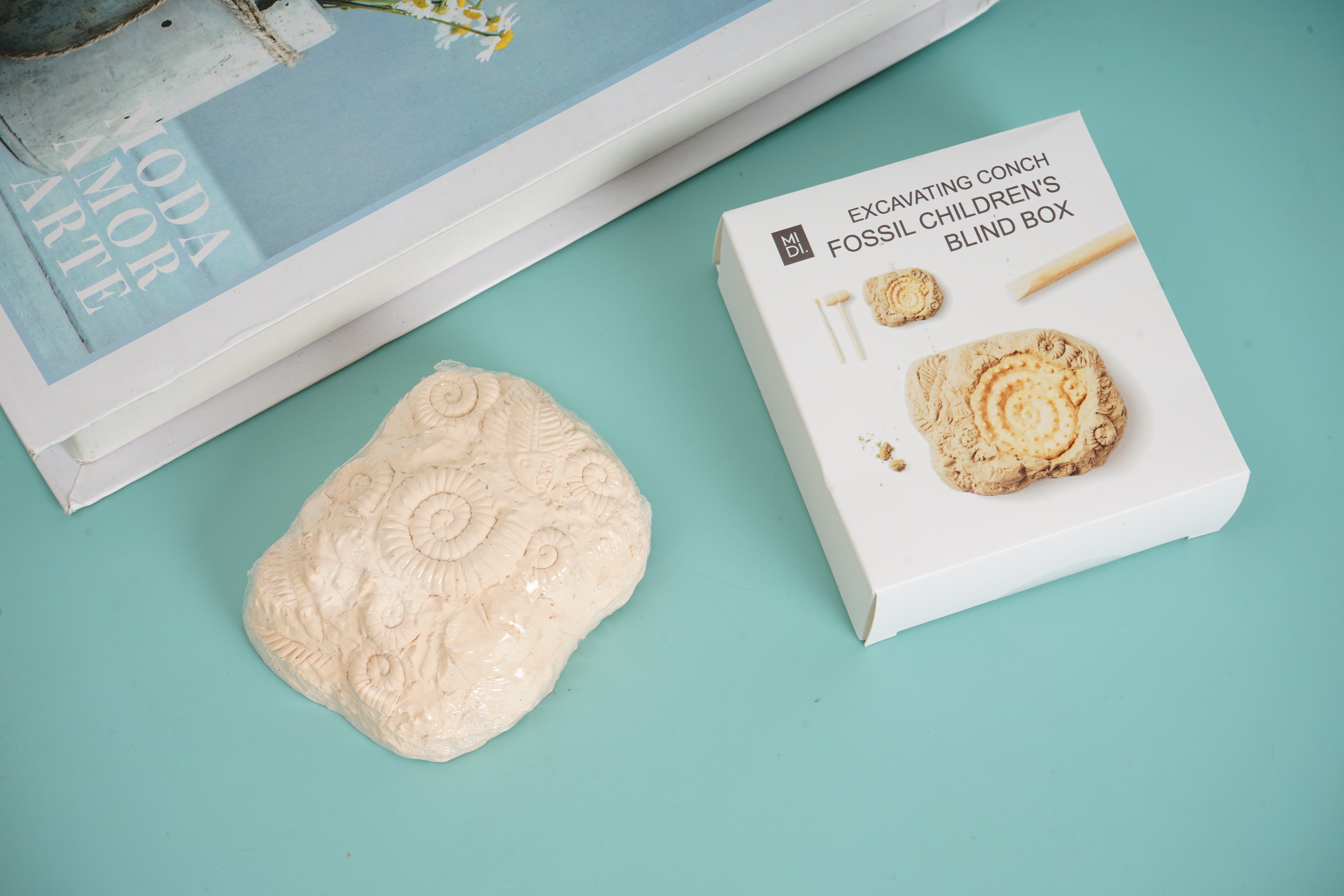 Excavating conch fossil children's blind box