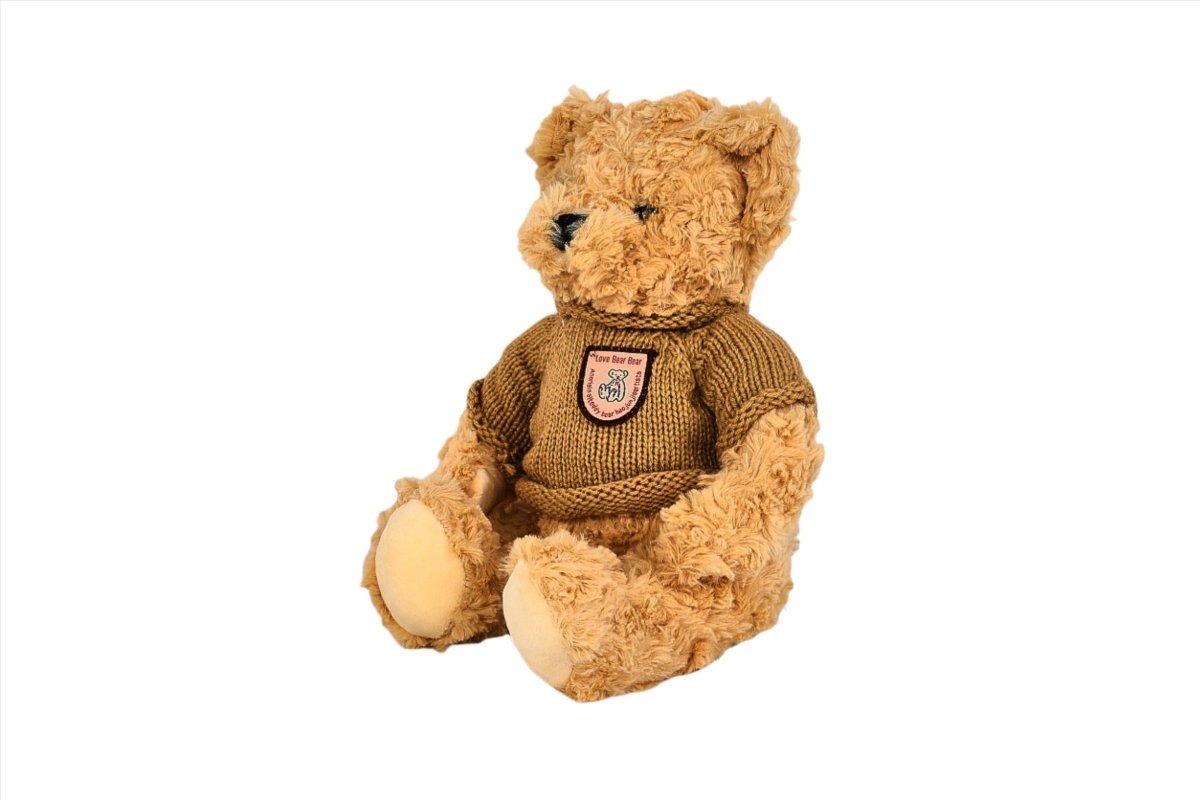 Teddy bear in brown knitted sweater with crest patch, tan plush body