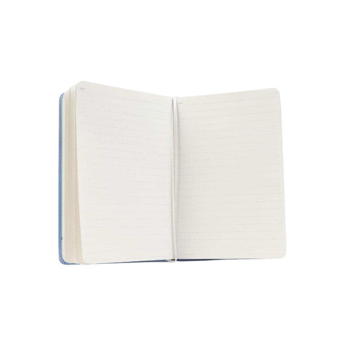 Cute Dinosaur Notebook - MIDI