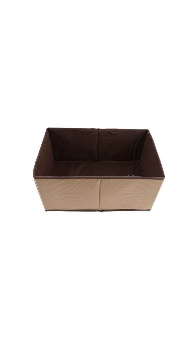 Cute Storage Box with Lion Design - MIDI