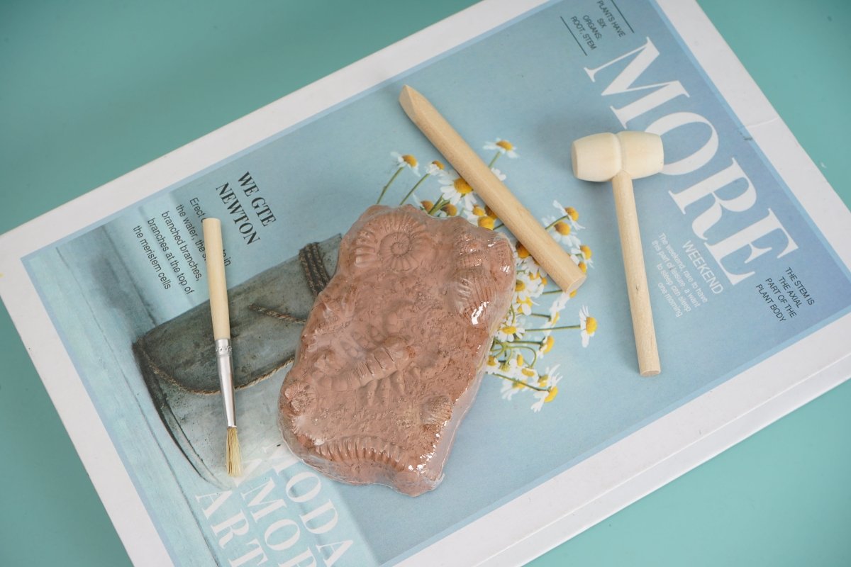 Digging Insect: Educational Kids Toy - MIDI