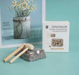 Dino Fossil Excavation Kit - Blind Box - MIDI