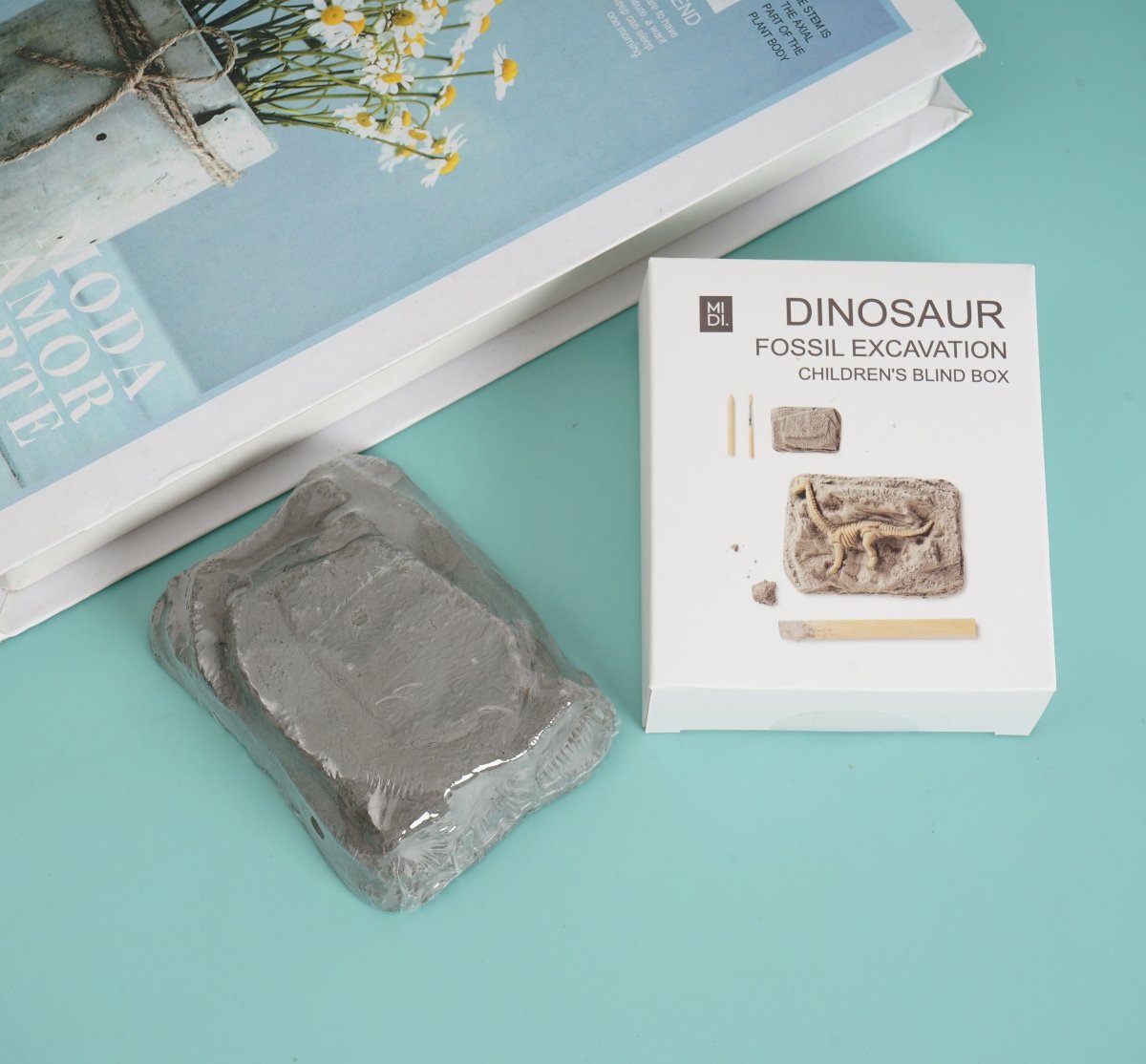 Dino Fossil Excavation Kit - Blind Box - MIDI