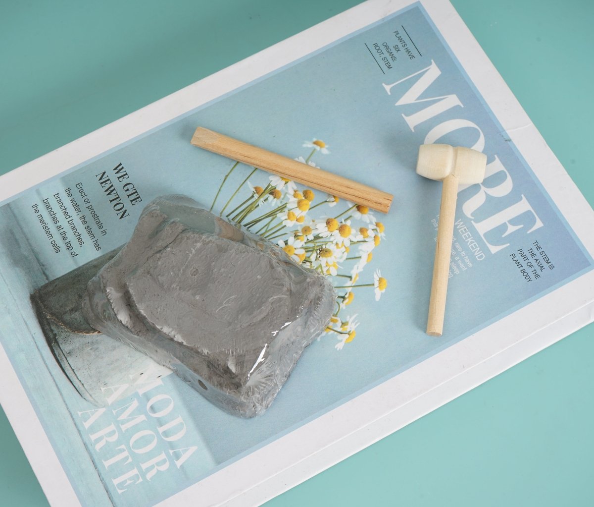 Dino Fossil Excavation Kit - Blind Box - MIDI