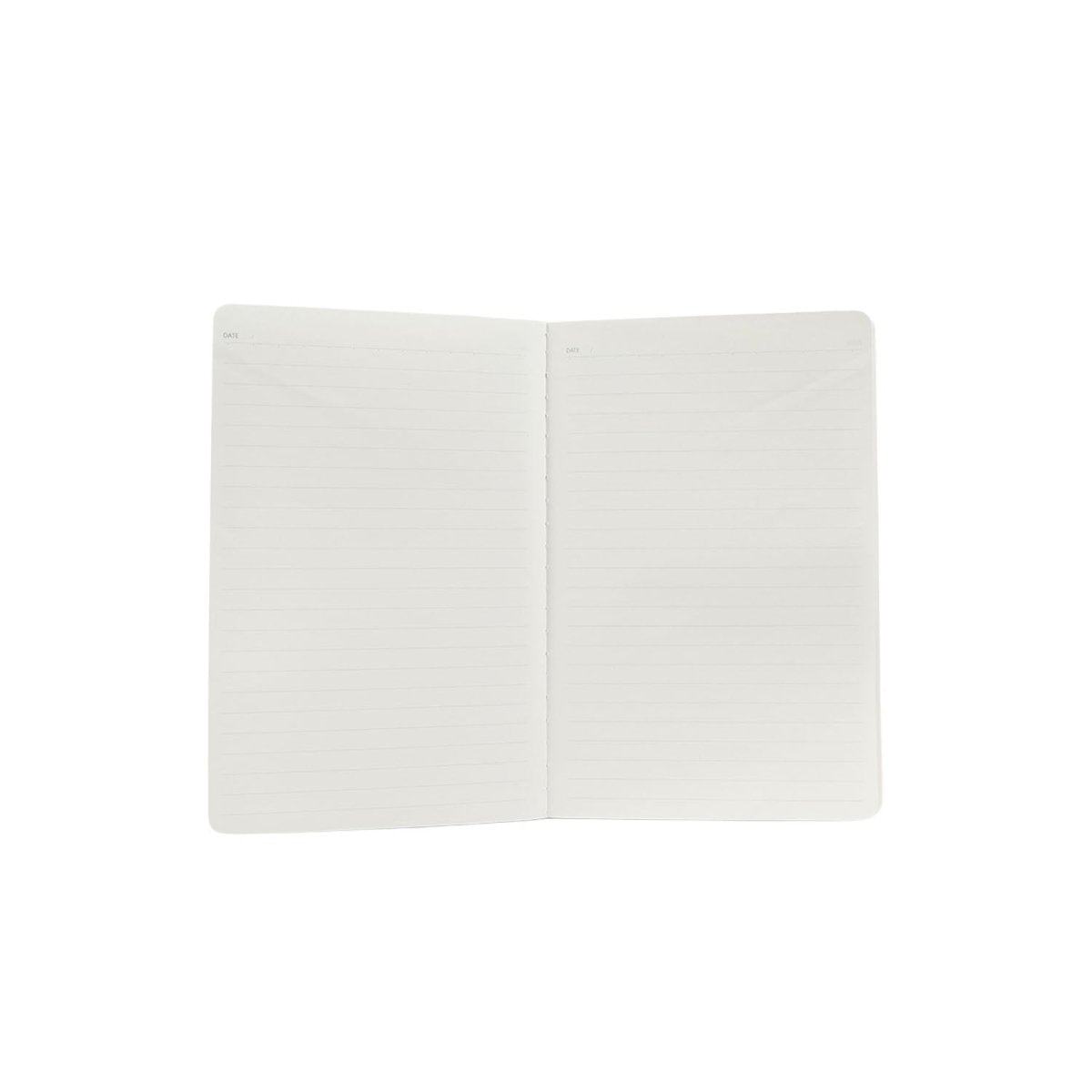 A5 dinosaur notebook open to blank pages