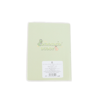 Notebook A6 Frosted Plastic Cover Dinosaur Series Mixed 4