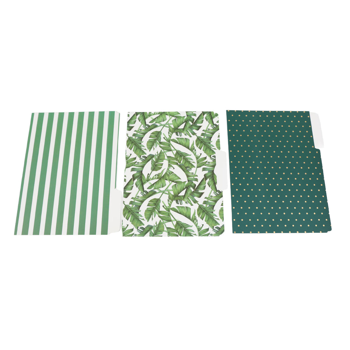 Three decorative file folders: green striped, tropical leaf print, dark green with gold dots.