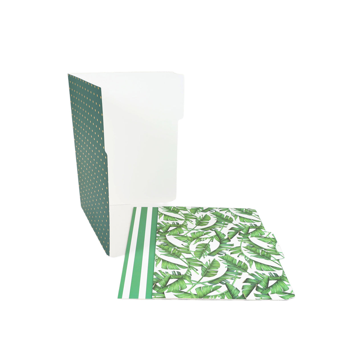 Decorative file folder set: gold-dot dark green, green stripes, tropical leaf pattern.