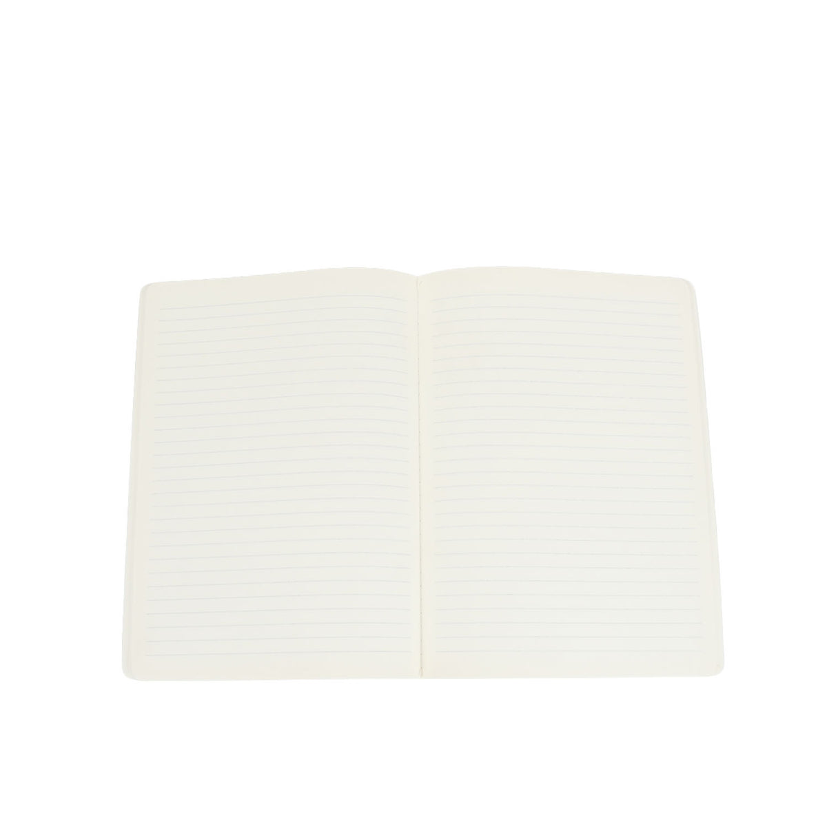 Open blank notebook pages in a two-panel spread for writing and drawing