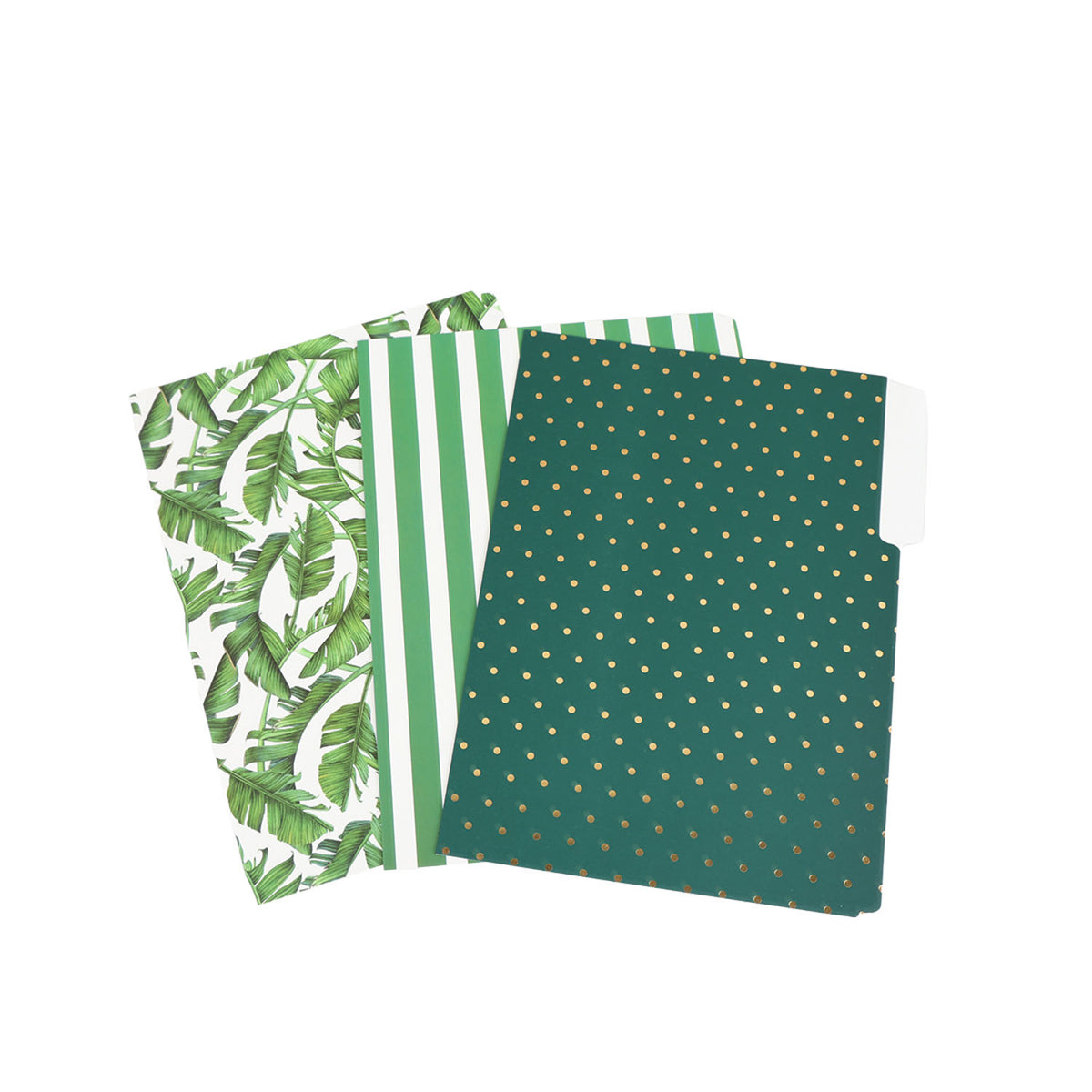 Set of 3 decorative file folders with tabs: tropical leaves, green stripes, gold-dot dark green.