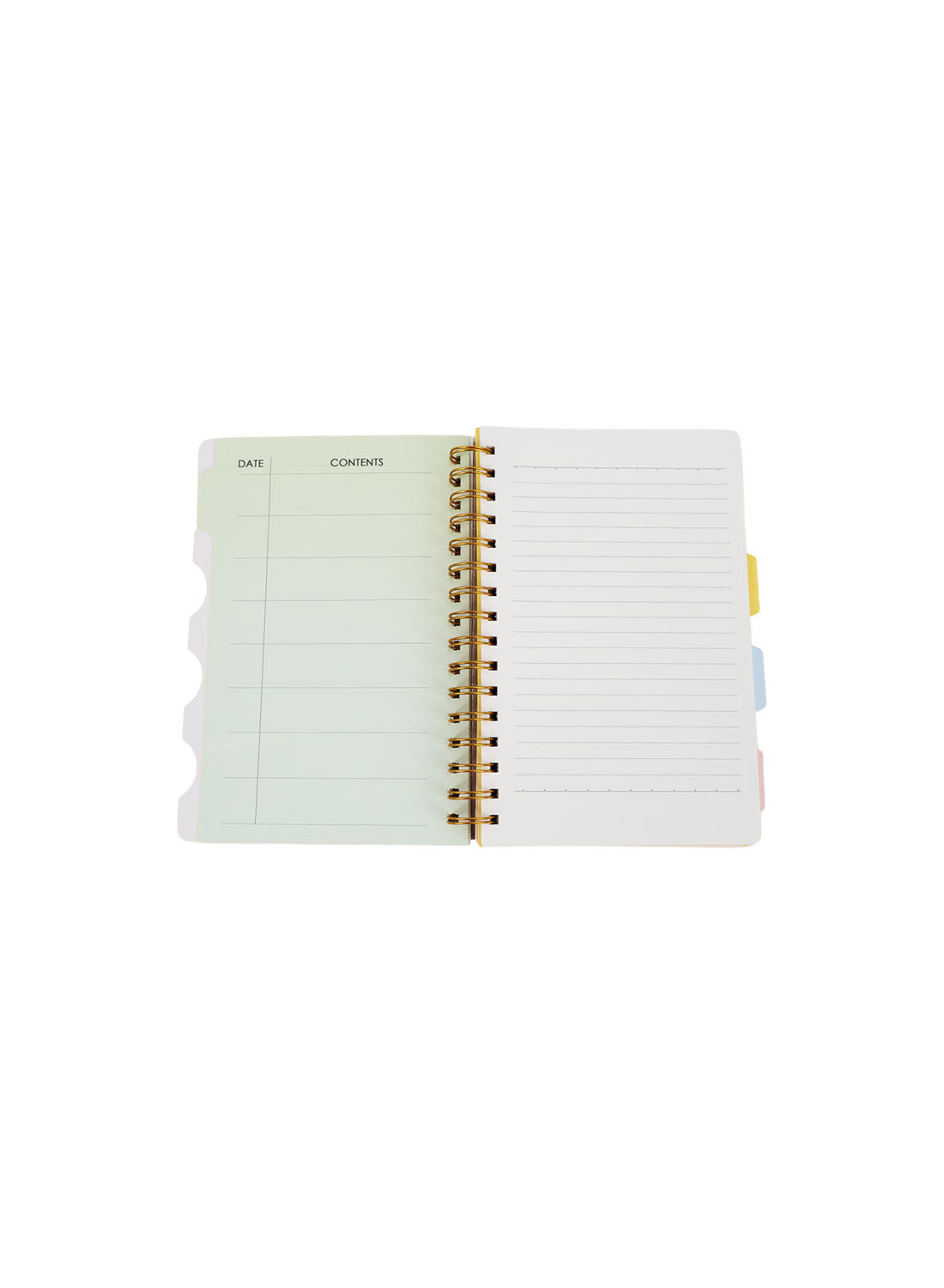 Open panda spiral notebook with dividers, labeled pages and lined writing sections, gold coil binding