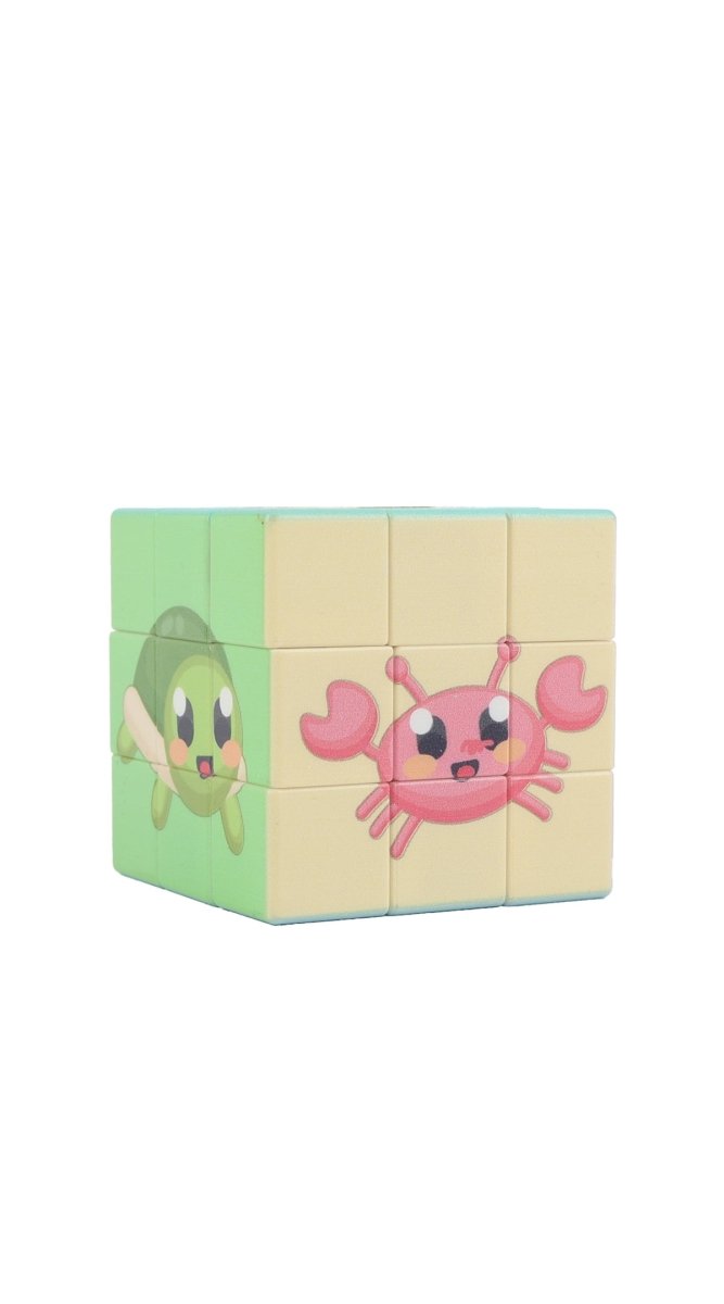3x3 magic cube puzzle toy with pink crab graphic on pastel green and cream panels