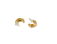 Elegant Curved Design Earrings - MIDI
