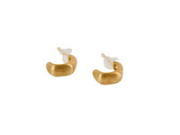 Elegant Curved Design Earrings - MIDI