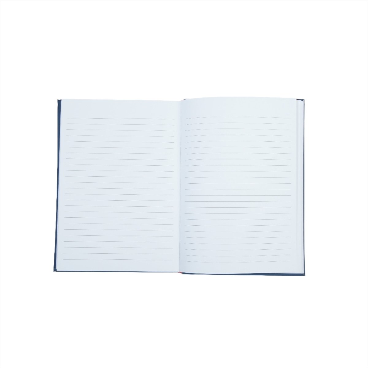 Hardback daily planner notebook, dark blue cover, open with lined pages