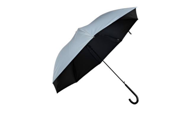Elegant J - Handle Umbrella - MIDI