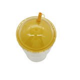 Glass Coffee Cup with Lid & Straw - MIDI