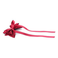 Casual Burgundy Neck Bow Tie
