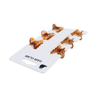 Hair claw clips set of 6, amber-brown claws attached to white display card