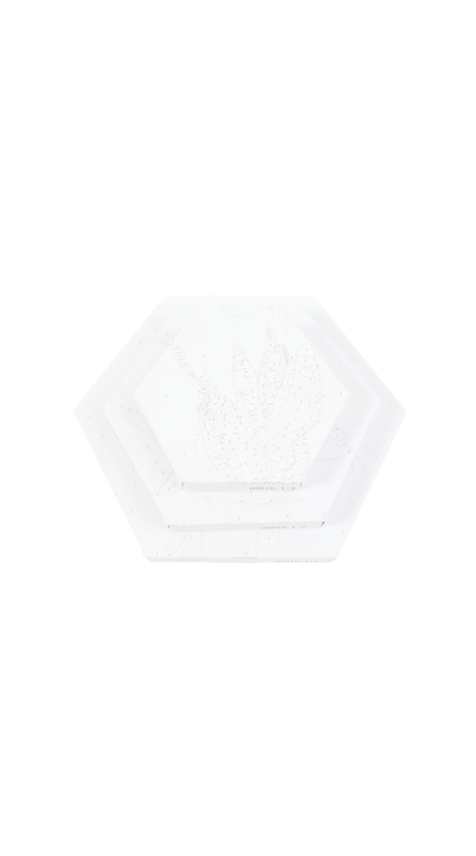 Hexagon Paint by Numbers Kit - MIDI
