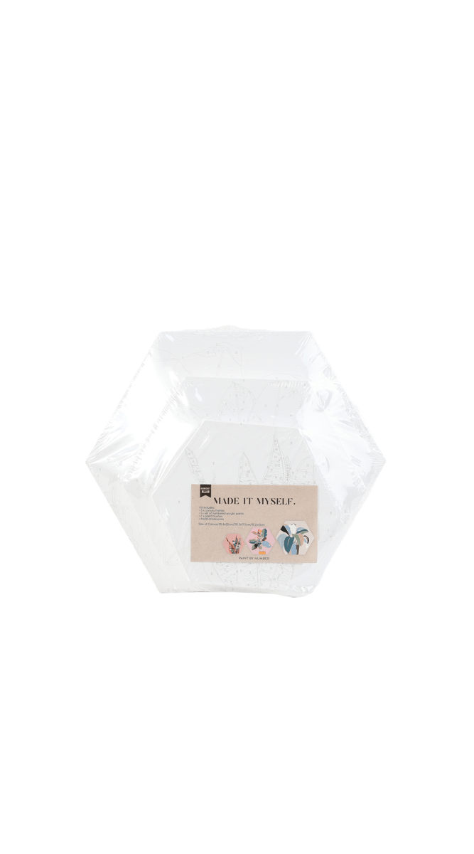 Hexagon paint-by-numbers kit box with illustrated label