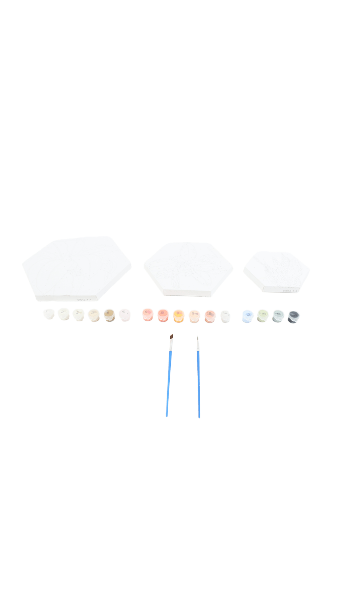 Hexagon Paint by Numbers Kit - MIDI
