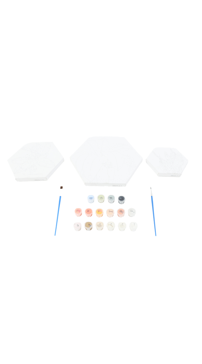 Hexagon Paint by Numbers Kit - MIDI